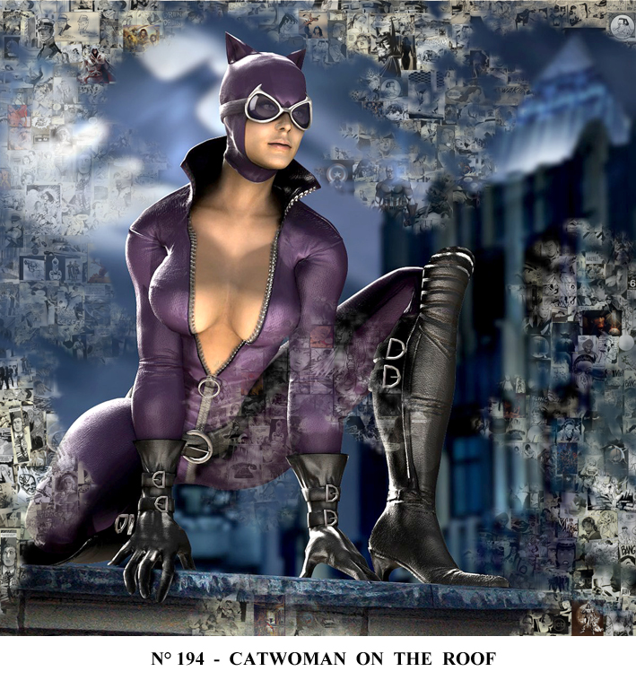 194 - CATWOMAN ON THE ROOF.jpg